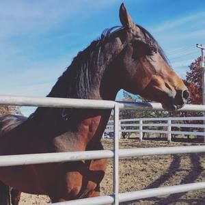 Meet your Posher, Jenny